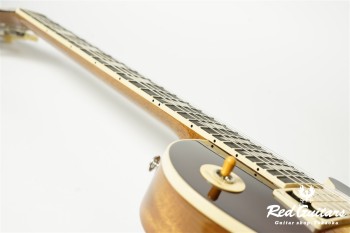 Les Paul Standard 50s Double Trouble - Vintage Tabacco Burst